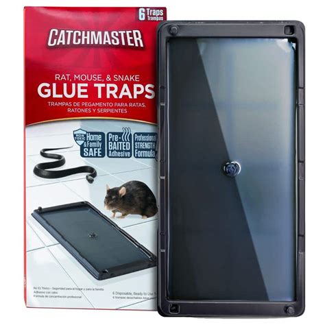 home depot catchmaster glue traps